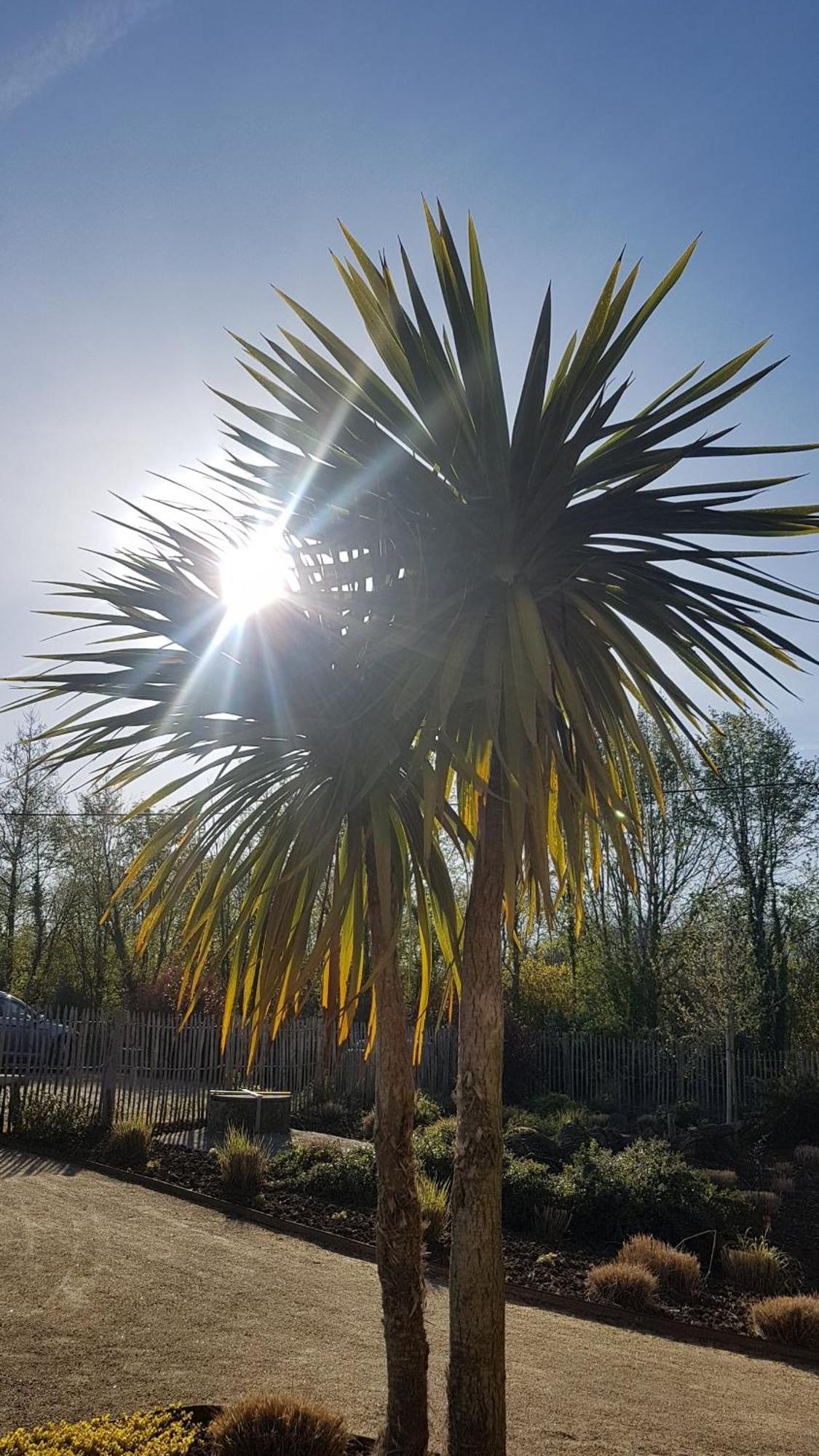 Les Gites Du Haut Pin Calorguen Exteriör bild